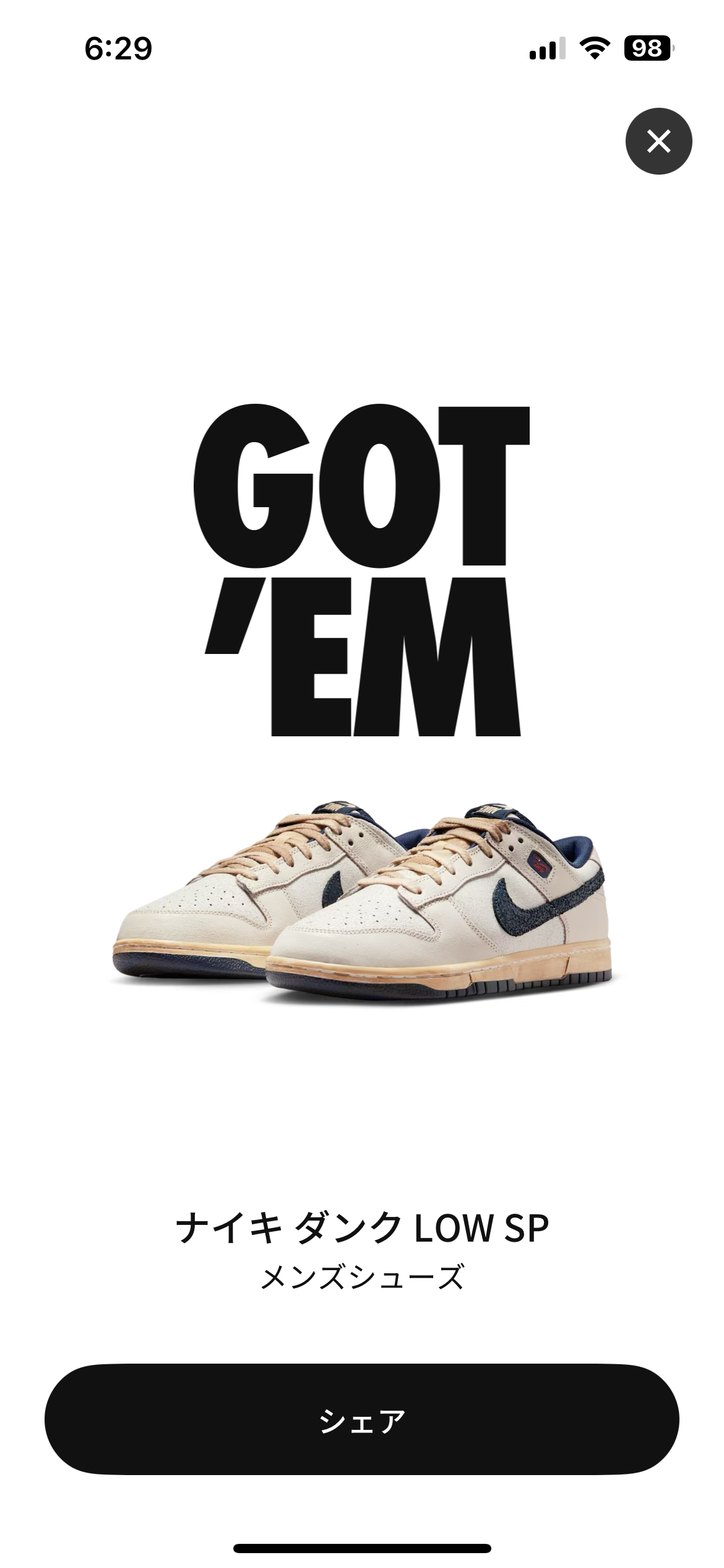 Stranger Things × Nike Dunk Low "Phantom/Midnight Navy"