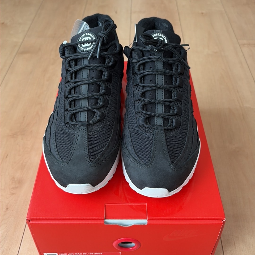 Stussy × Nike Air Max 95 "Black" (2015)