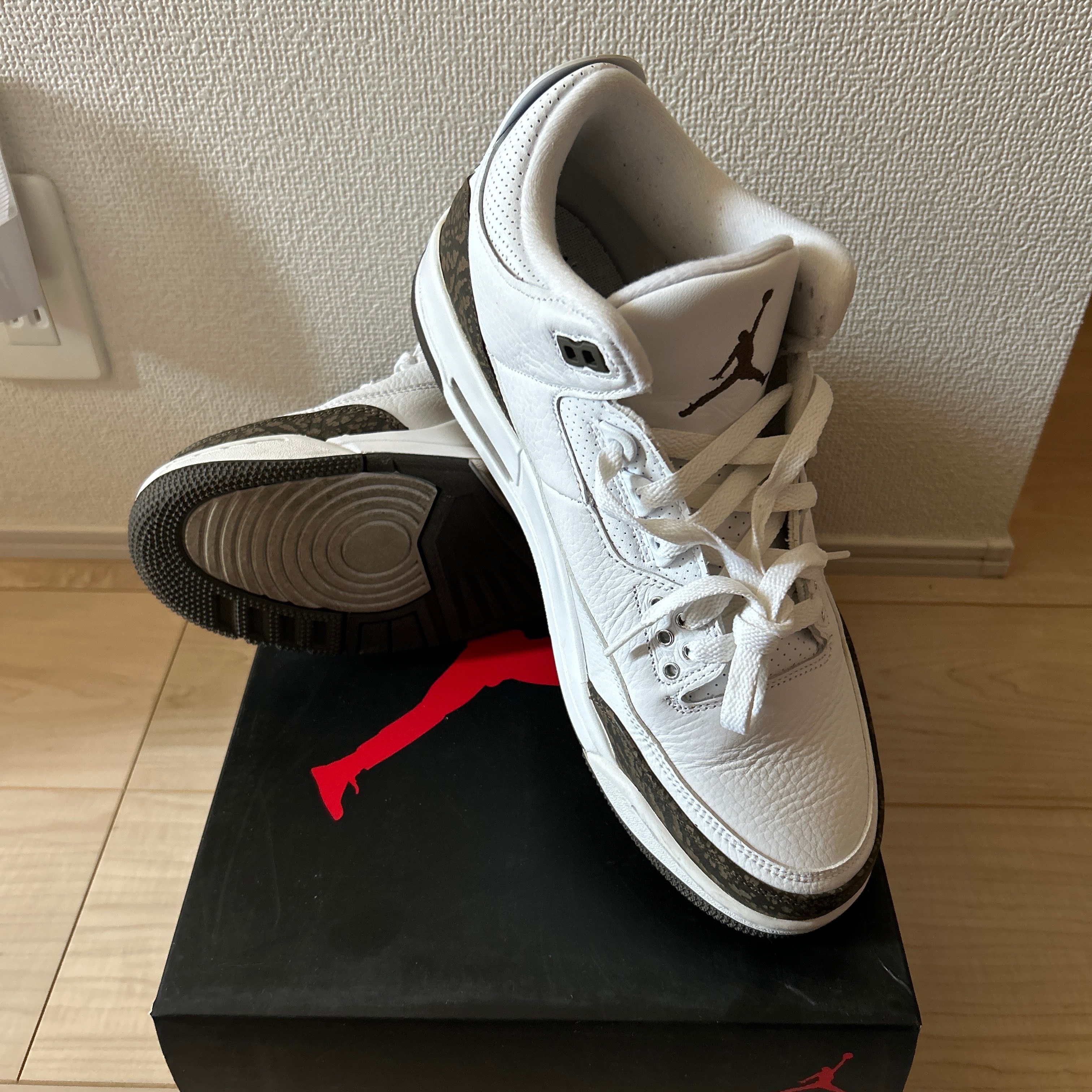 Nike Air Jordan 3 Retro "Mocha" (2018)