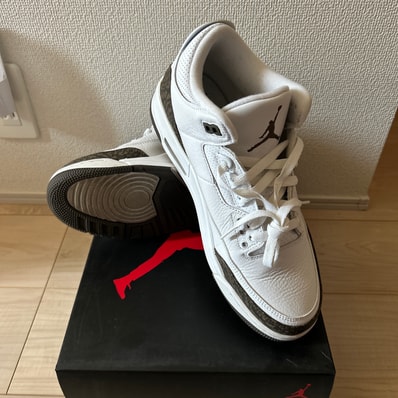 Nike Air Jordan 3 Retro "Mocha" (2018)
