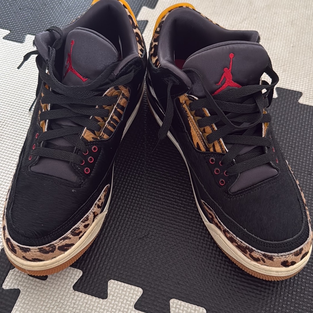Nike Air Jordan 3 Retro SE "Animal Instinct/Safari"