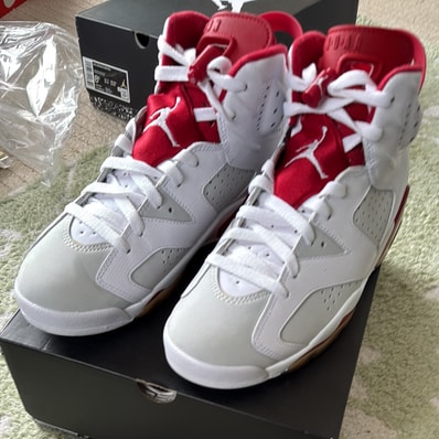 Nike Air Jordan 6 Retro "Altenate Hare"