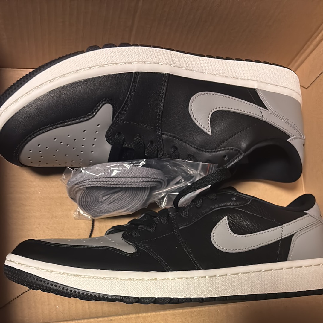 Nike Air Jordan 1 Low Golf "Shadow"