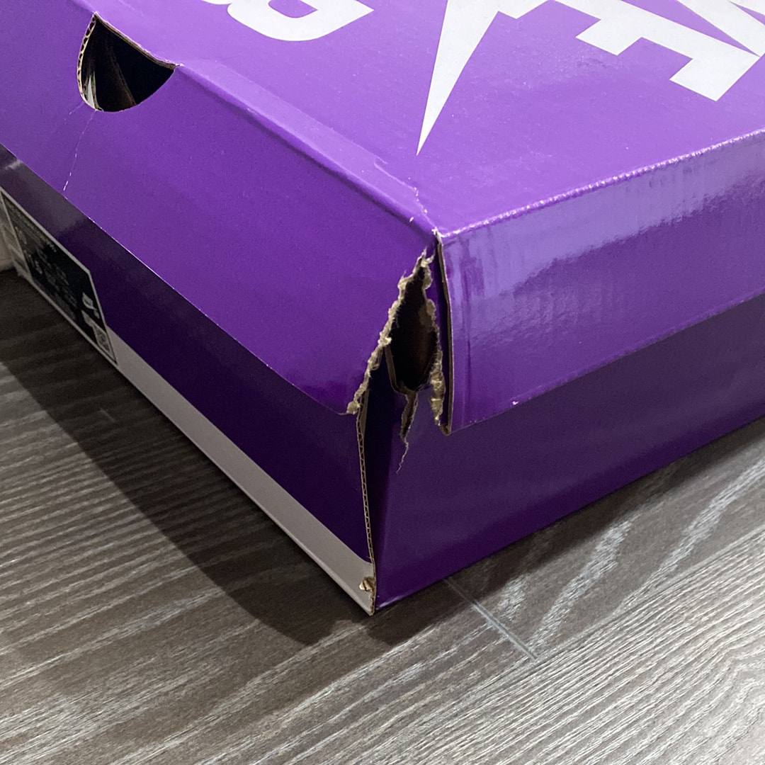 Nike SB Dunk Low Pro "J-Pack Chicago/Varsity Red and White"