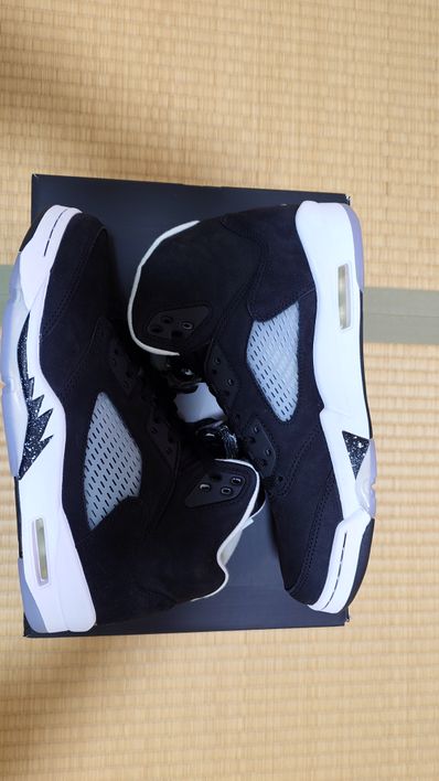 Nike Air Jordan 5 "Moonlight" (2021)