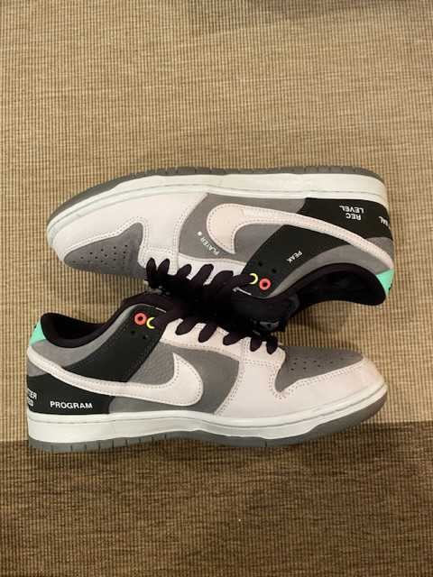 Nike SB Dunk Low Pro "VX1000 Camcorder"