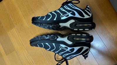 Nike Air Max Plus "Black Reflective Silver"