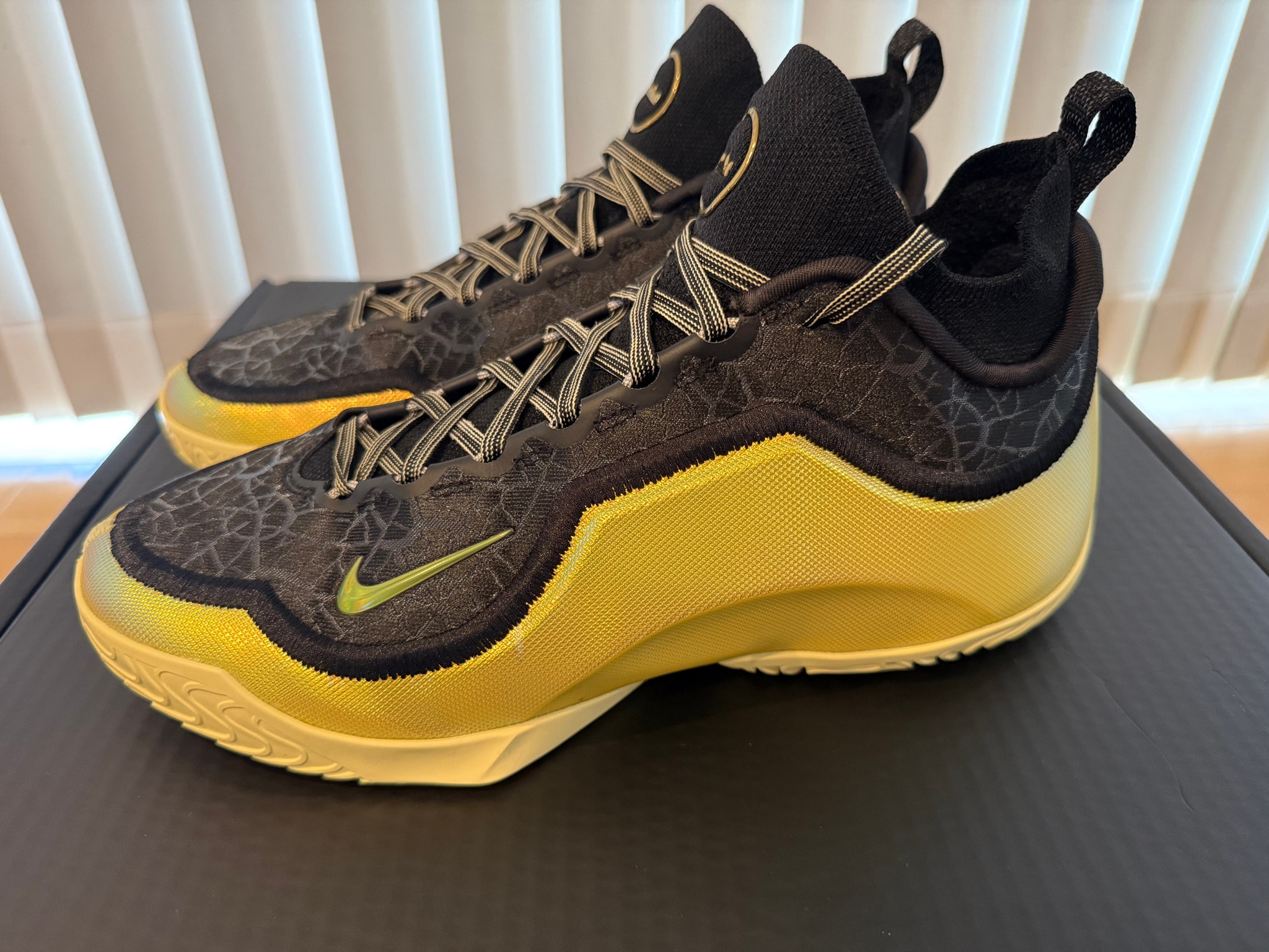 Nike LeBron 23 Elite EP "Good Intentions"