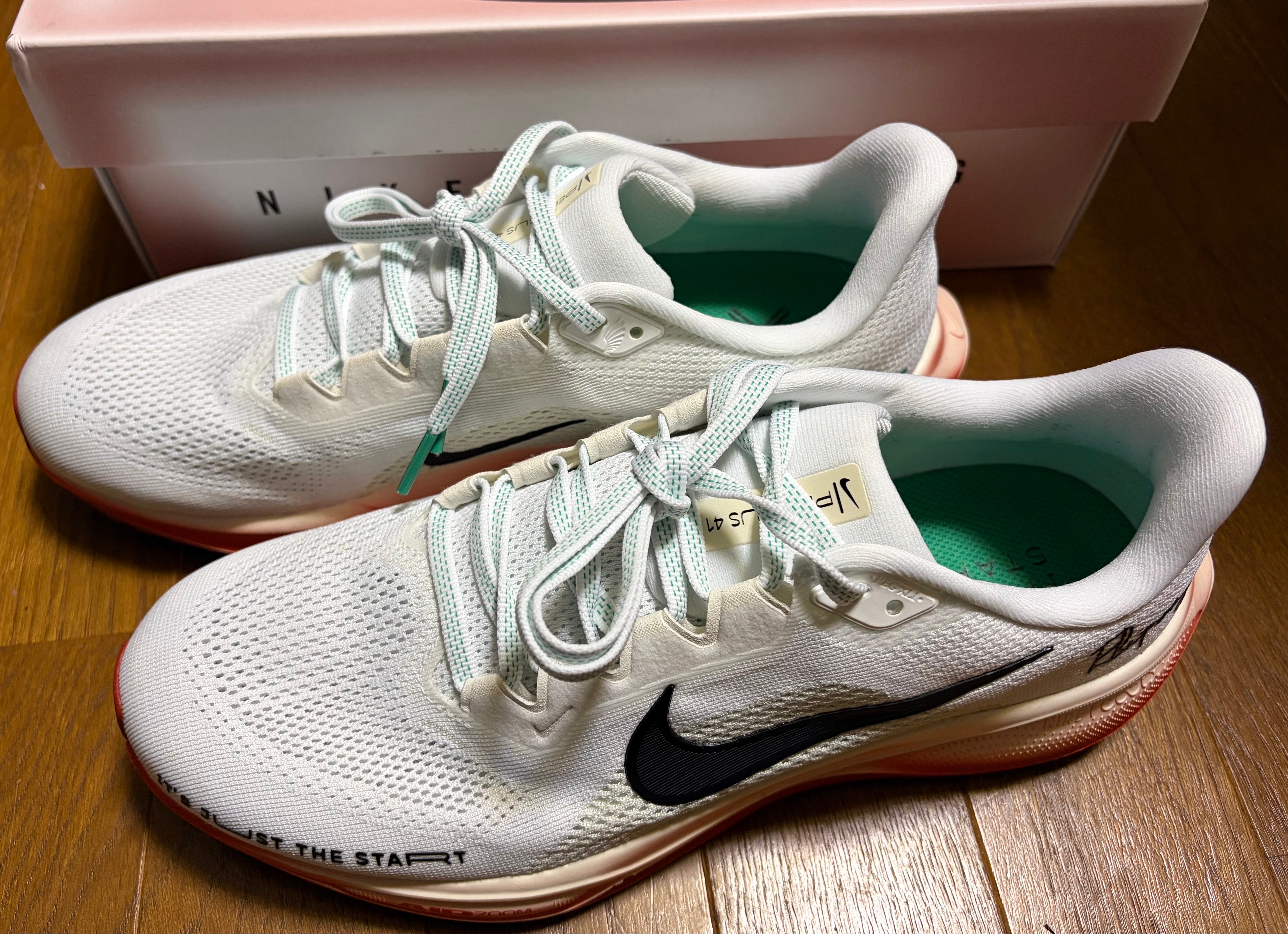 Nike Air Zoom Pegasus 41 "Eliud Kipchoge"