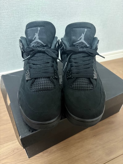 Nike Air Jordan 4 Retro OG "Black Cat" (2025)
