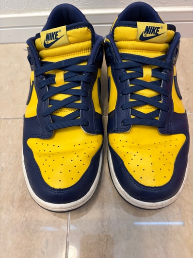 Nike Dunk Low "Michigan"