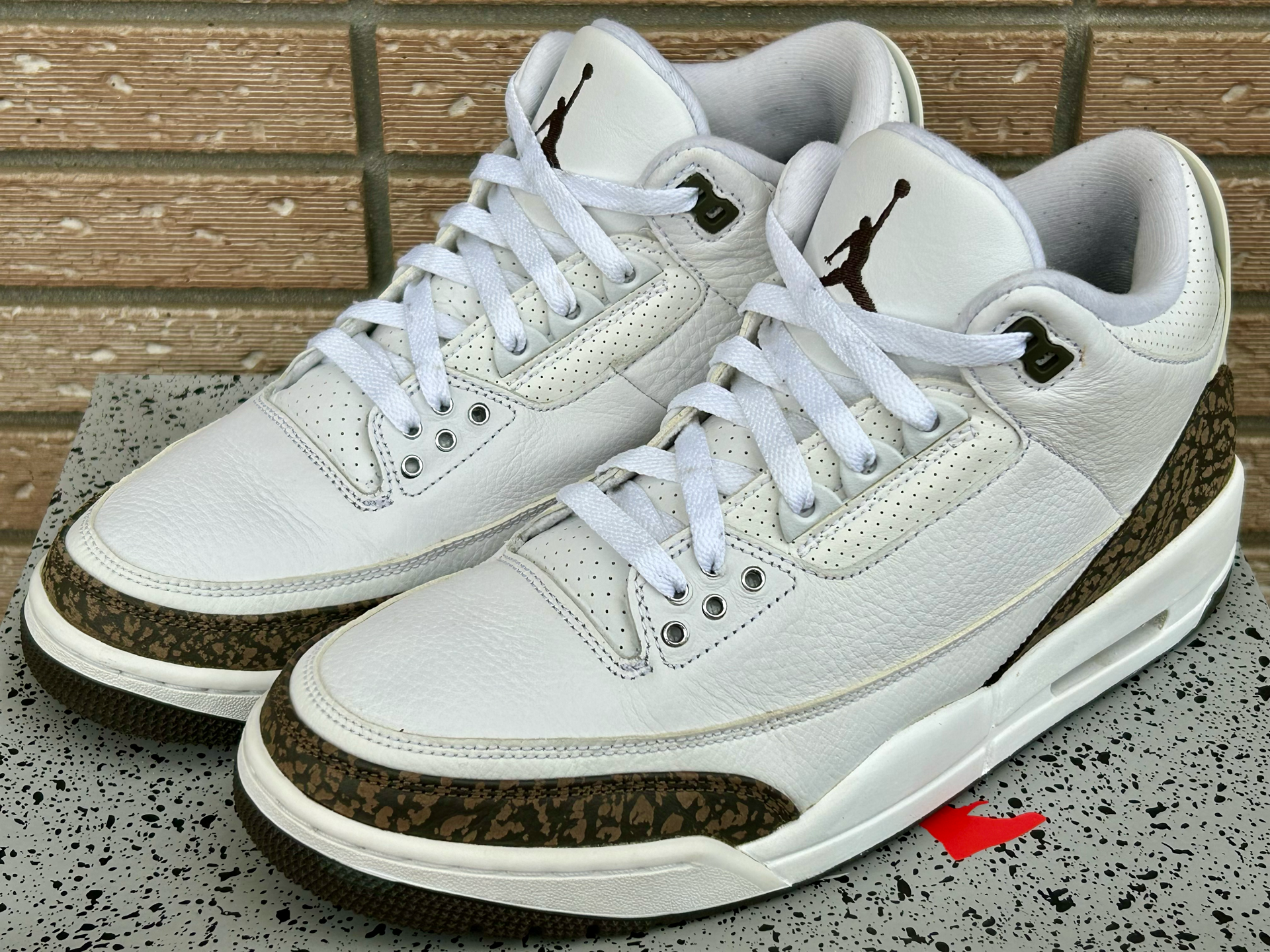 Nike Air Jordan 3 Retro "Mocha" (2018)