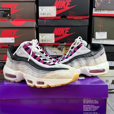 Nike SB Air Max 95 "Summit White/Cactus Flower"