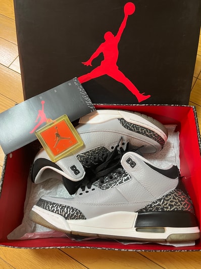 Nike Air Jordan 3 Retro "Wolf Grey"