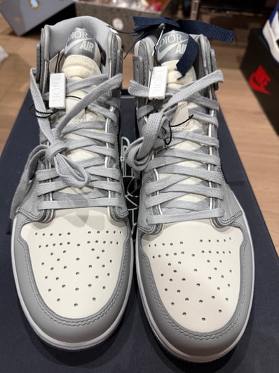 Dior × Nike Air Jordan 1 High OG "Wolf Grey"