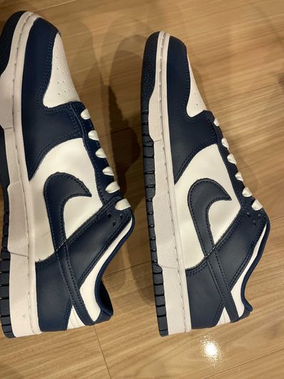 Nike Dunk Low "Valerian Blue"