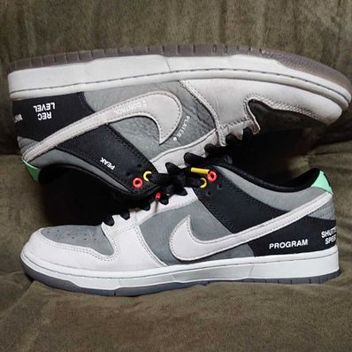 Nike SB Dunk Low Pro "VX1000 Camcorder"