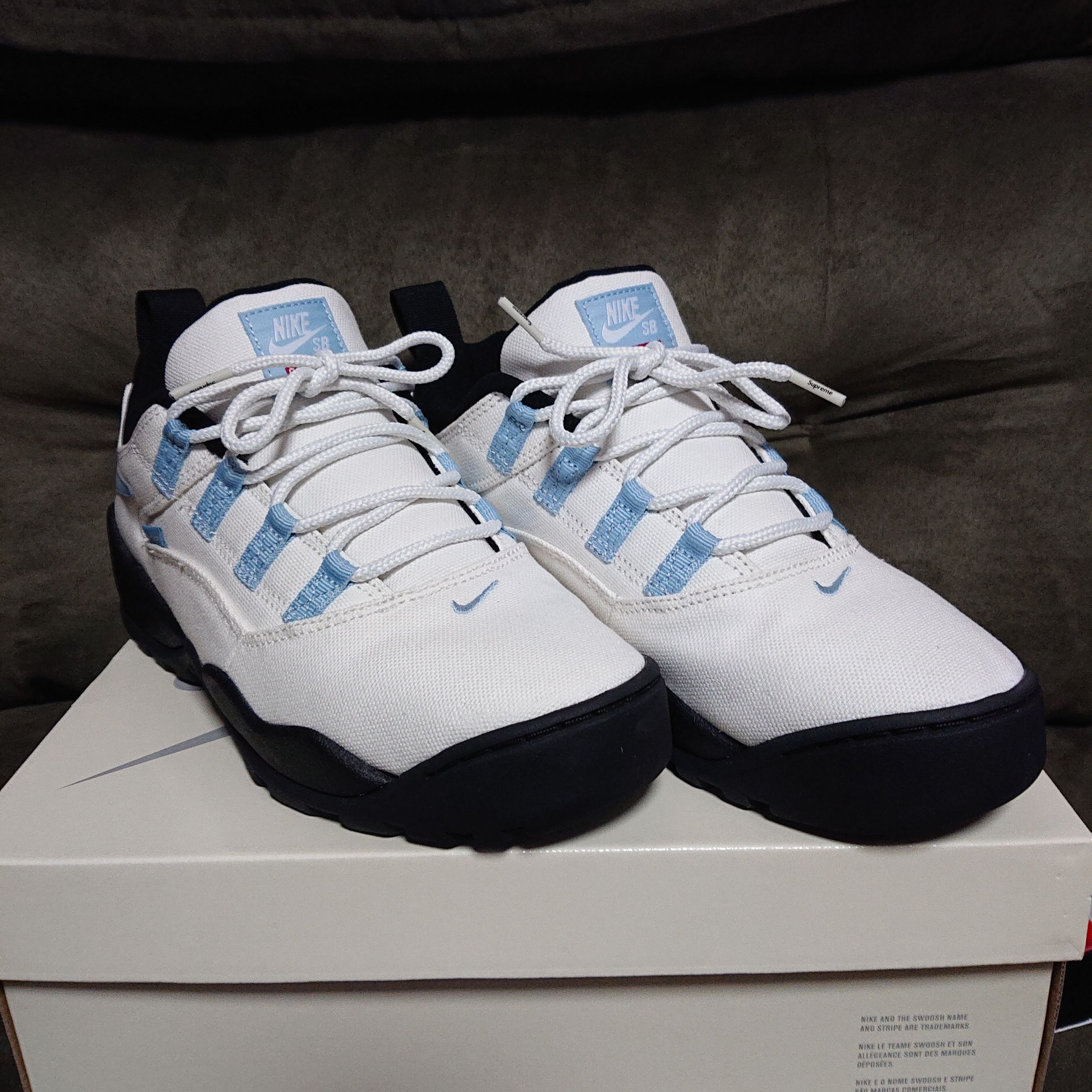 Supreme × Nike SB Darwin Low "White"