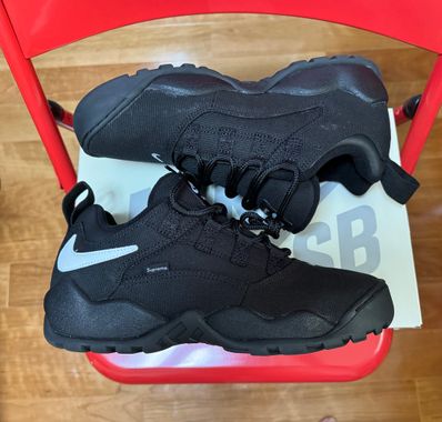 Supreme × Nike SB Darwin Low "Black"