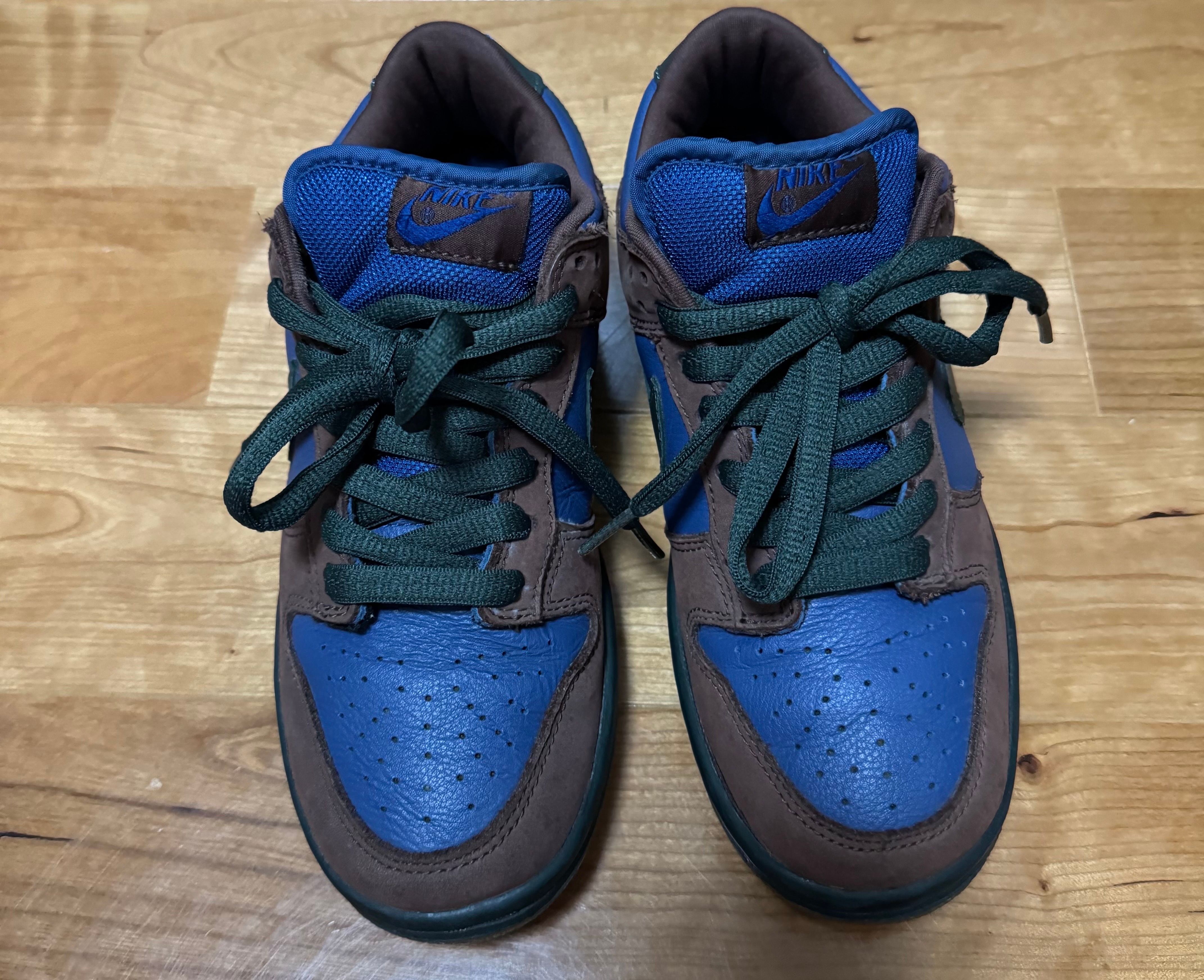 Nike SB Dunk Low "Barf"