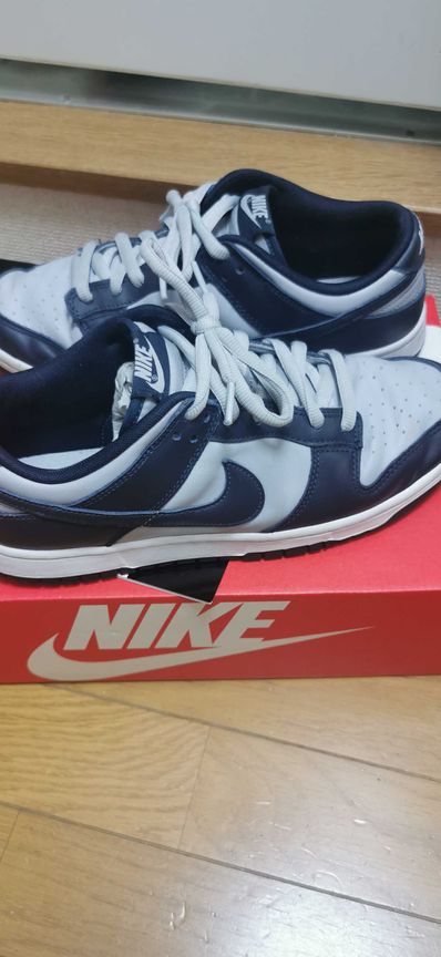 Nike Dunk Low "Championship Grey"