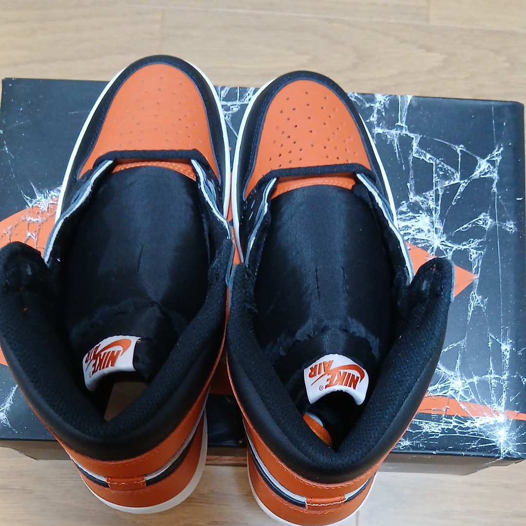 Nike Air Jordan 1 Retro High OG "Shattered Backboard" (2025)