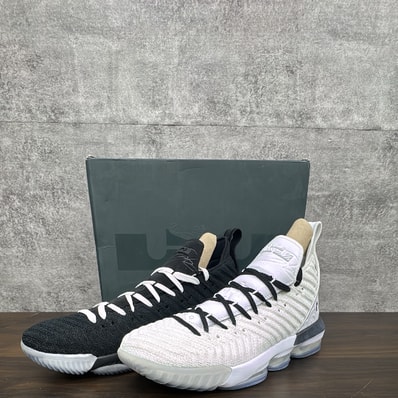 NIKE LEBRON 16 EQUALITY "BLACK WHITE"(2019)
