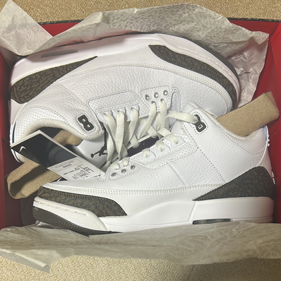 Nike Air Jordan 3 Retro "Mocha" (2018)