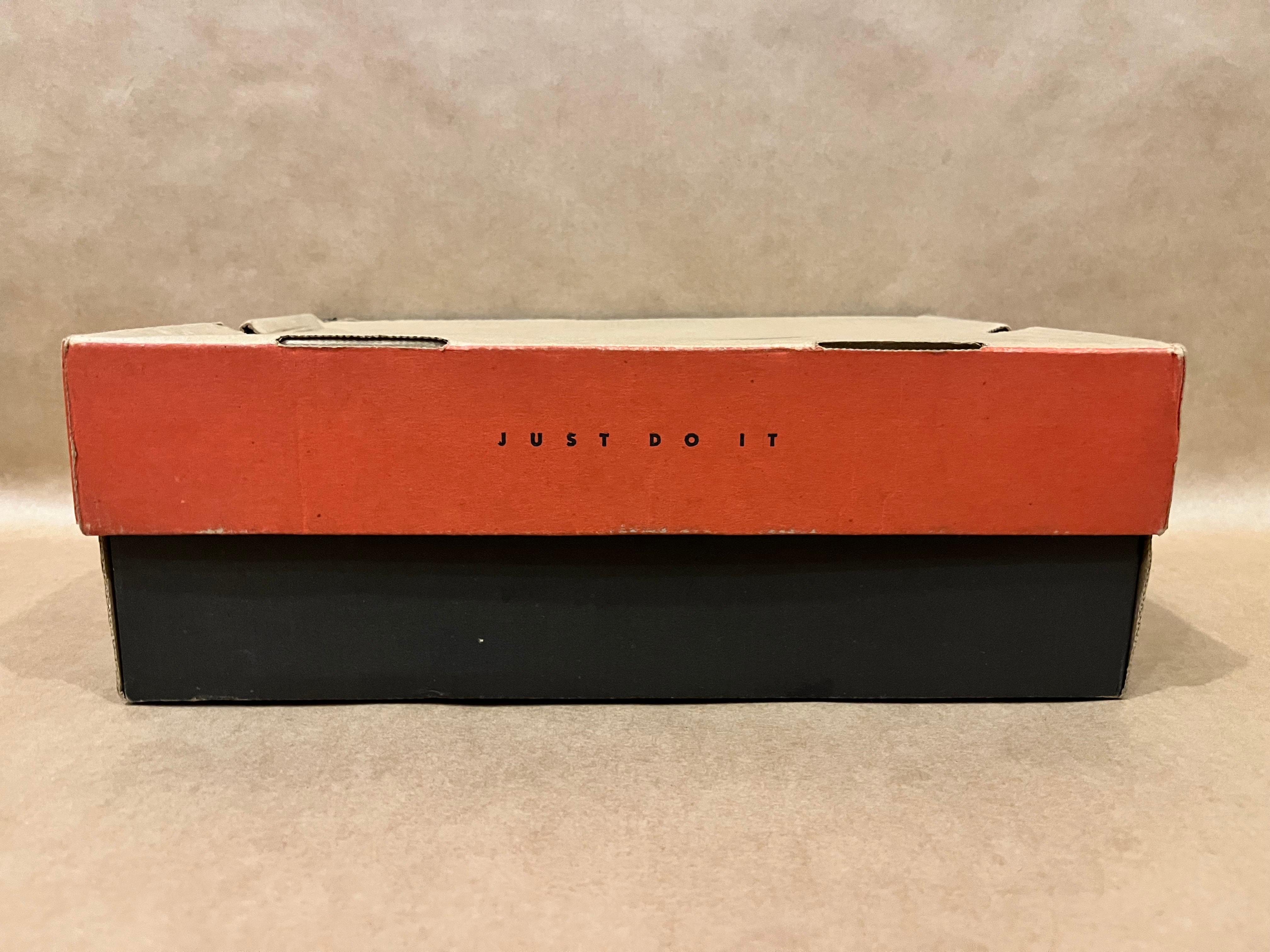 ナイキ エアジョーダン10 OG "シャドウ グレー"