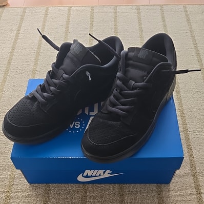 UNDEFEATED × Nike Dunk Low SP "5 ON IT"