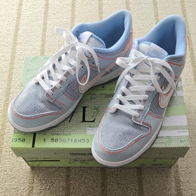 UNION × Nike Dunk Low "Argon"