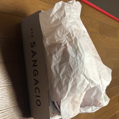 SANGACIO Nyu's 10th Anniversary Model "Orange"