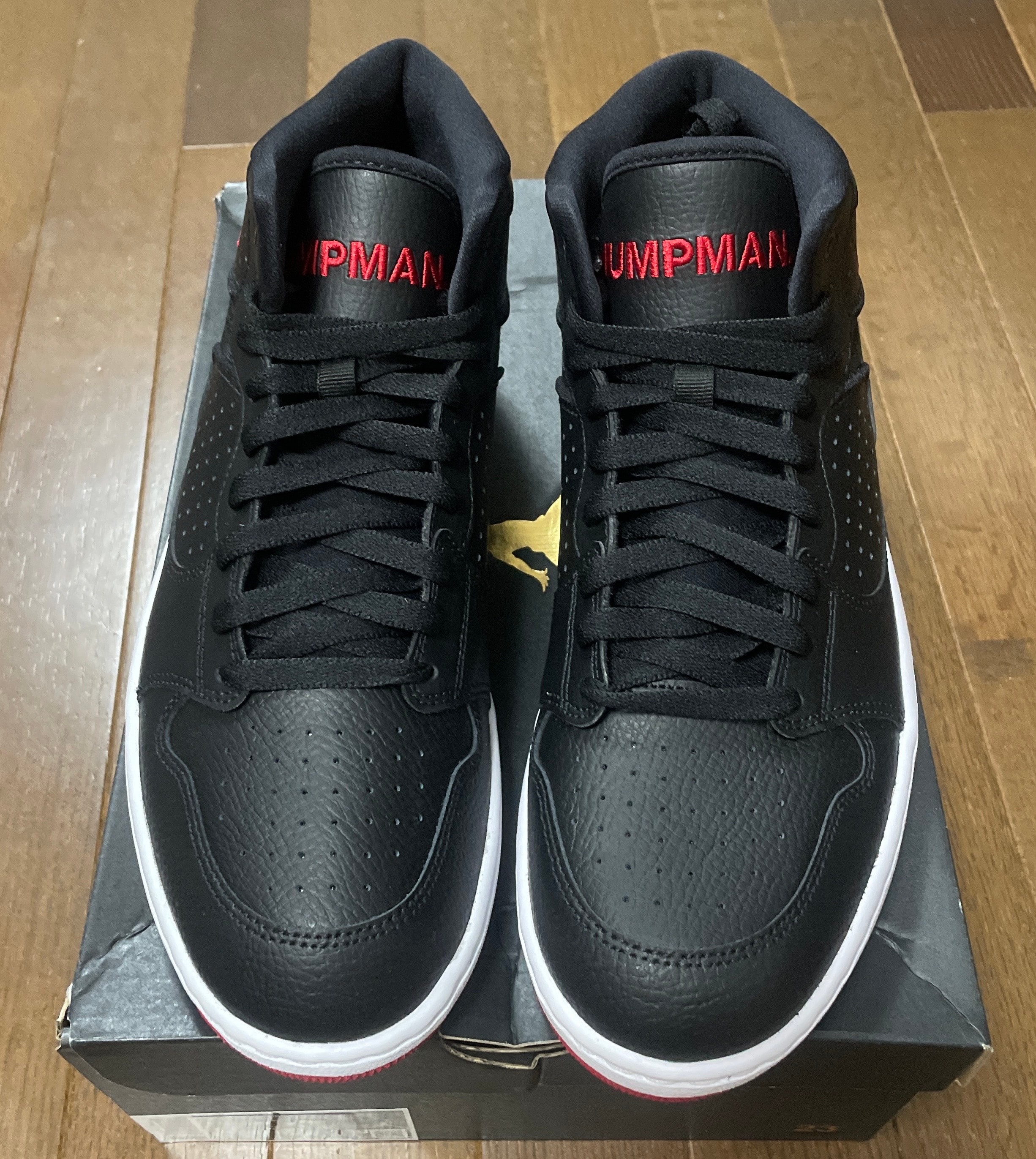 Nike Air Jordan Access "Black/Gym Red"