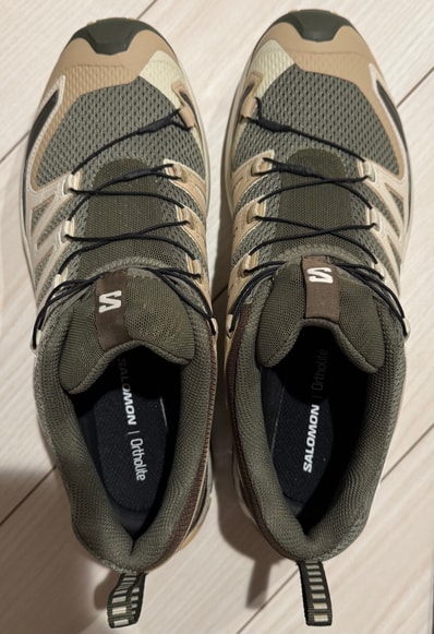 Salomon XA Pro 3D V9 "Deep Lichen Green/Safari/Dark Earth"