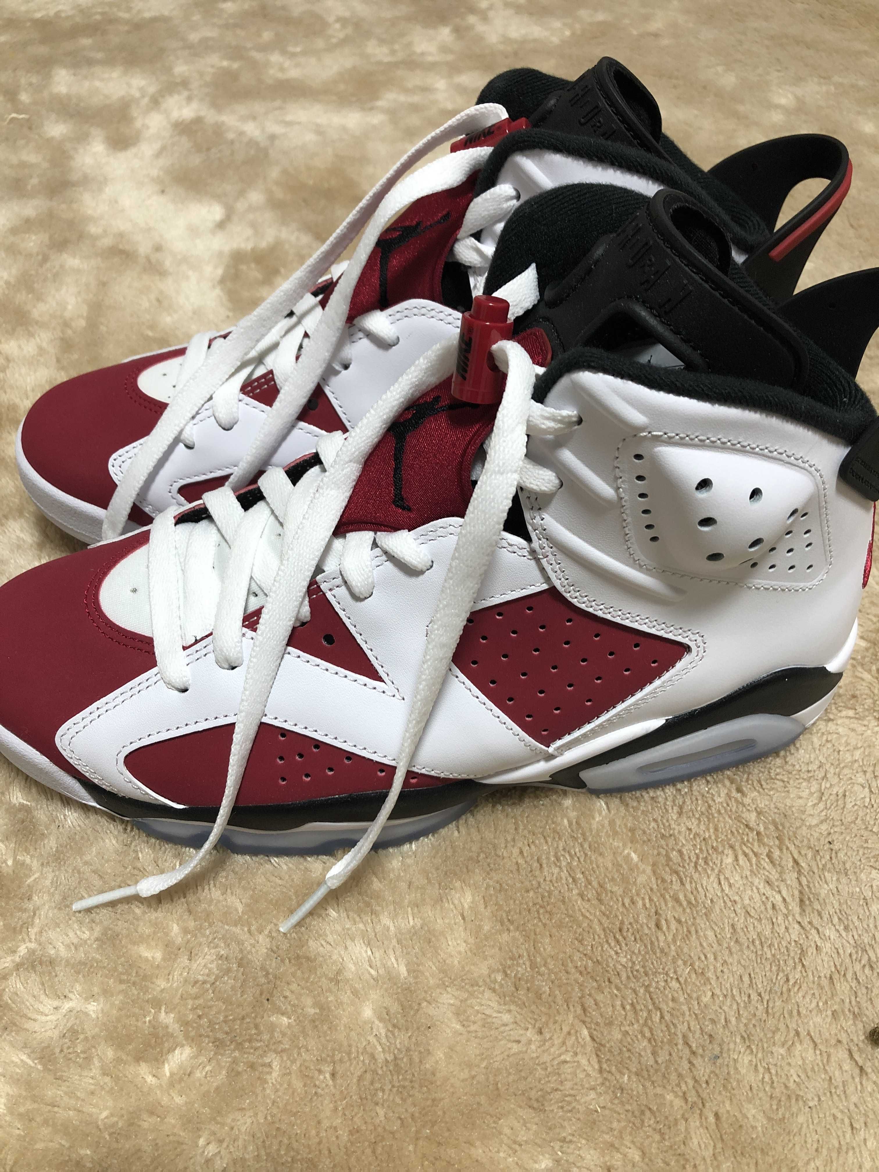 Nike Air Jordan 6 "Carmine" (2021)