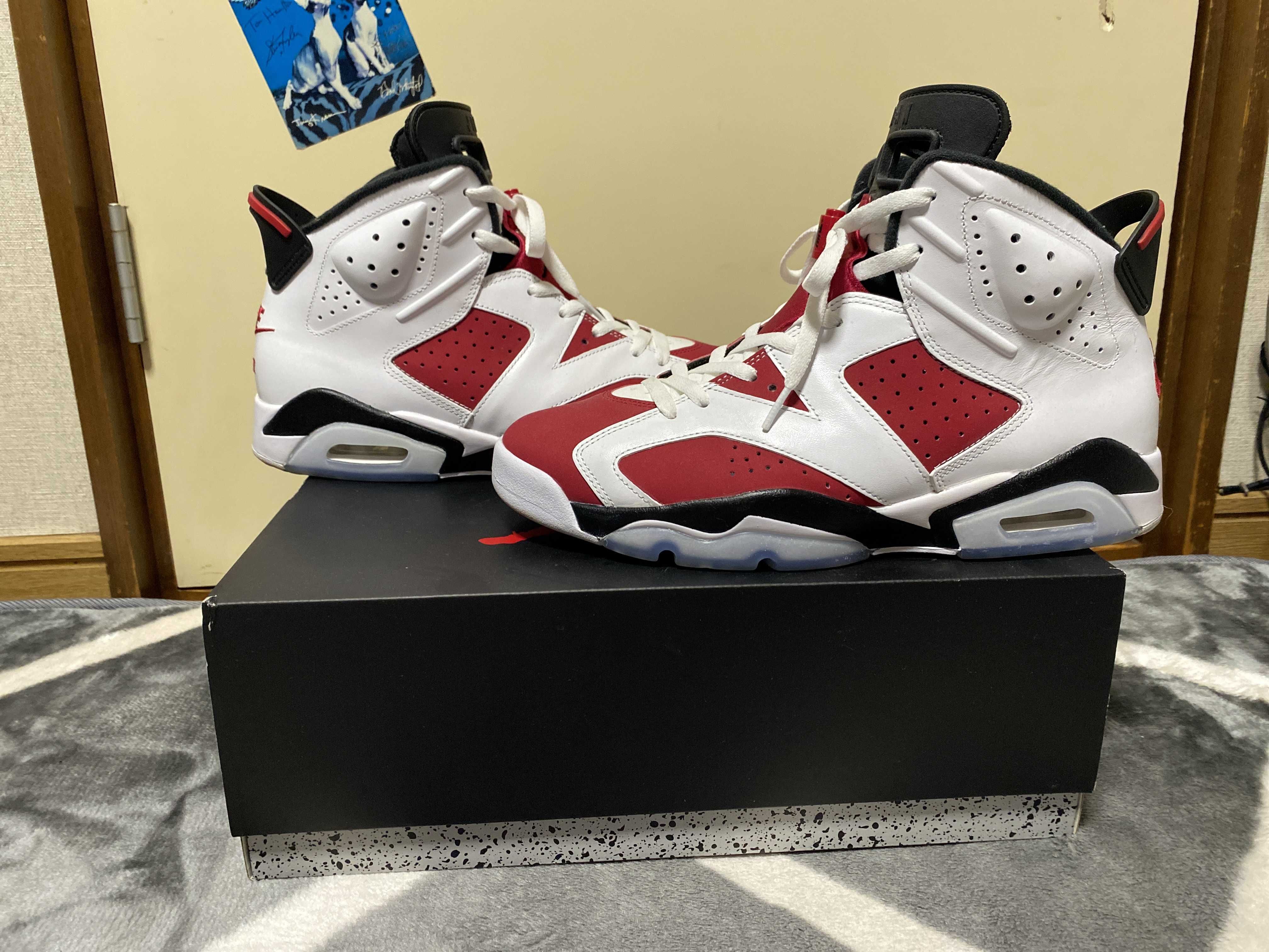 Nike Air Jordan 6 "Carmine" (2021)