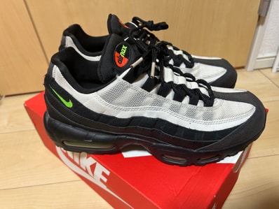 Nike Air Max 95 "Antifreeze" (2019)