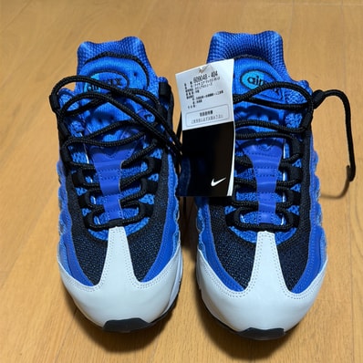 Nike Air Max 95 "Varsity Royal/Black/Italy Blue/Metallic Silver"