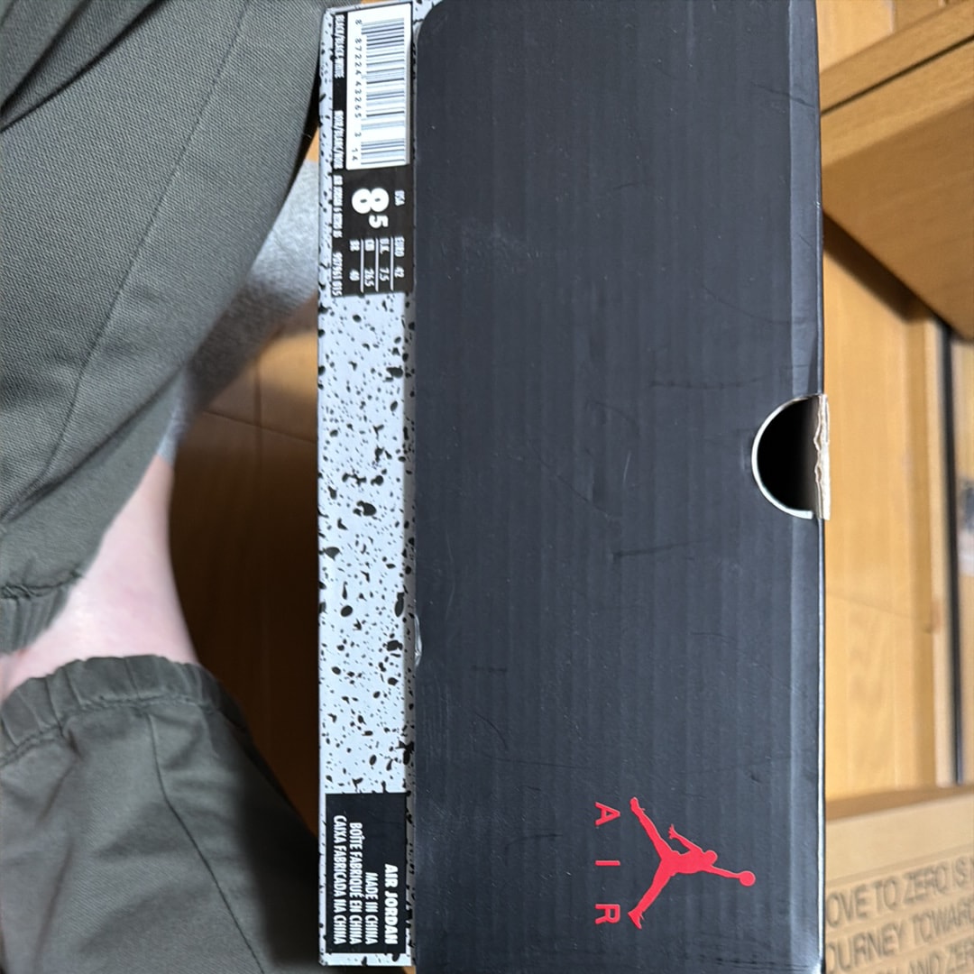 Nike Air Jordan 6 Retro All Star 2017 "Chameleon"