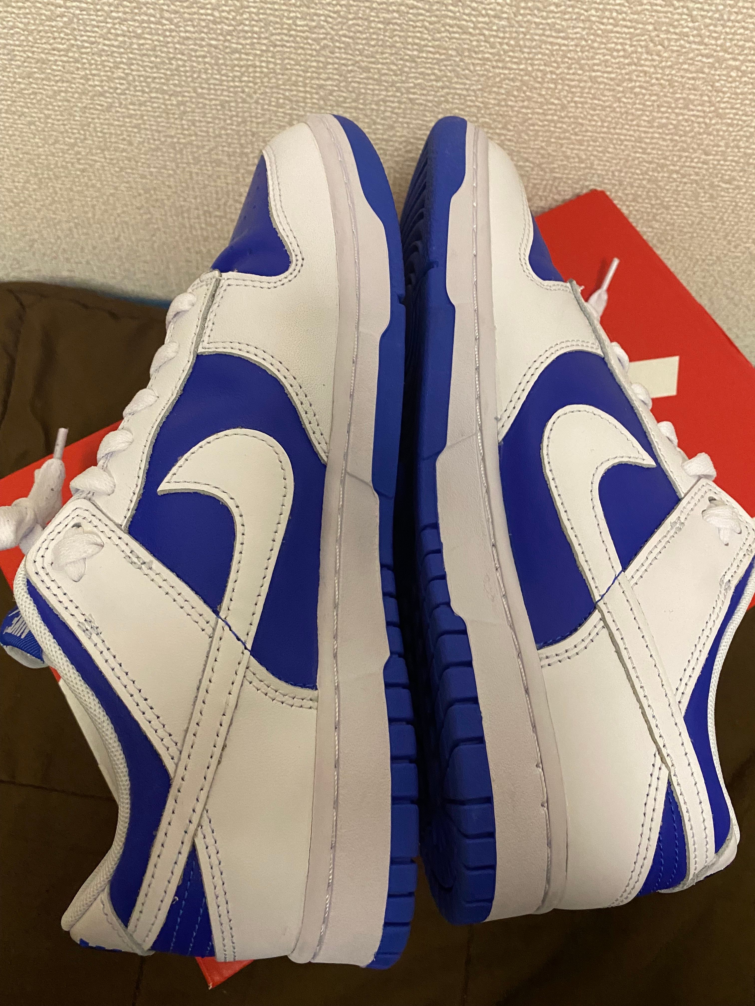 Nike Dunk Low Retro "Racer Blue and White"