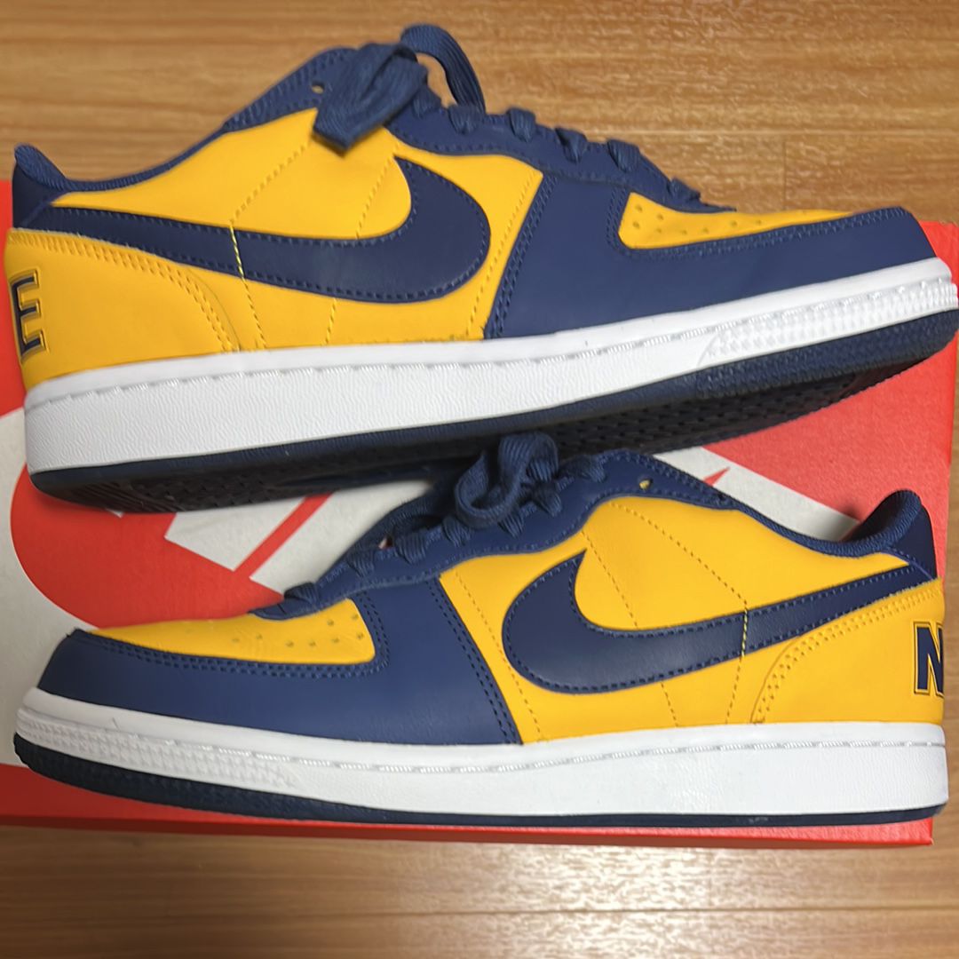 Nike Terminator Low "University Gold and Navy/Michigan"