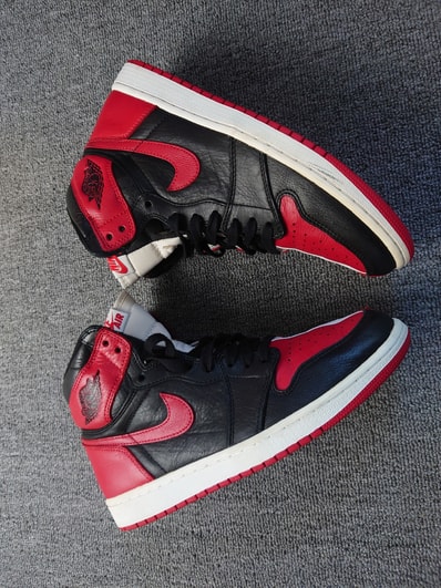 Nike Air Jordan 1 Retro High OG "Homage To Home"