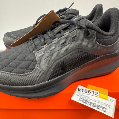 Nike Winflo 11 GORE-TEX "Black/Anthracite"
