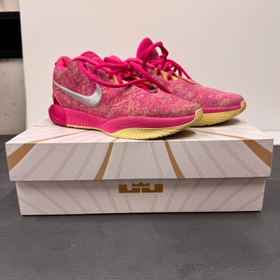 Nike LeBron 21 "Multi Color/Metallic Silver"