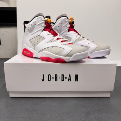 Nike Air Jordan 6 "Neutral Grey/Hare"