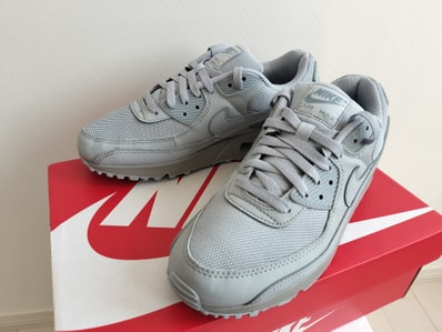 Nike Air Max 90 "Grey"