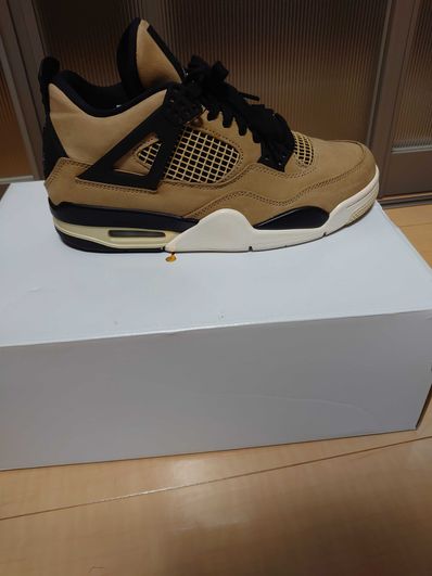 Nike Women's Air Jordan 4 "Mushroom"