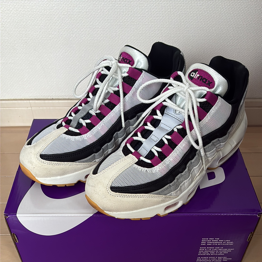 Nike SB Air Max 95 "Summit White/Cactus Flower"