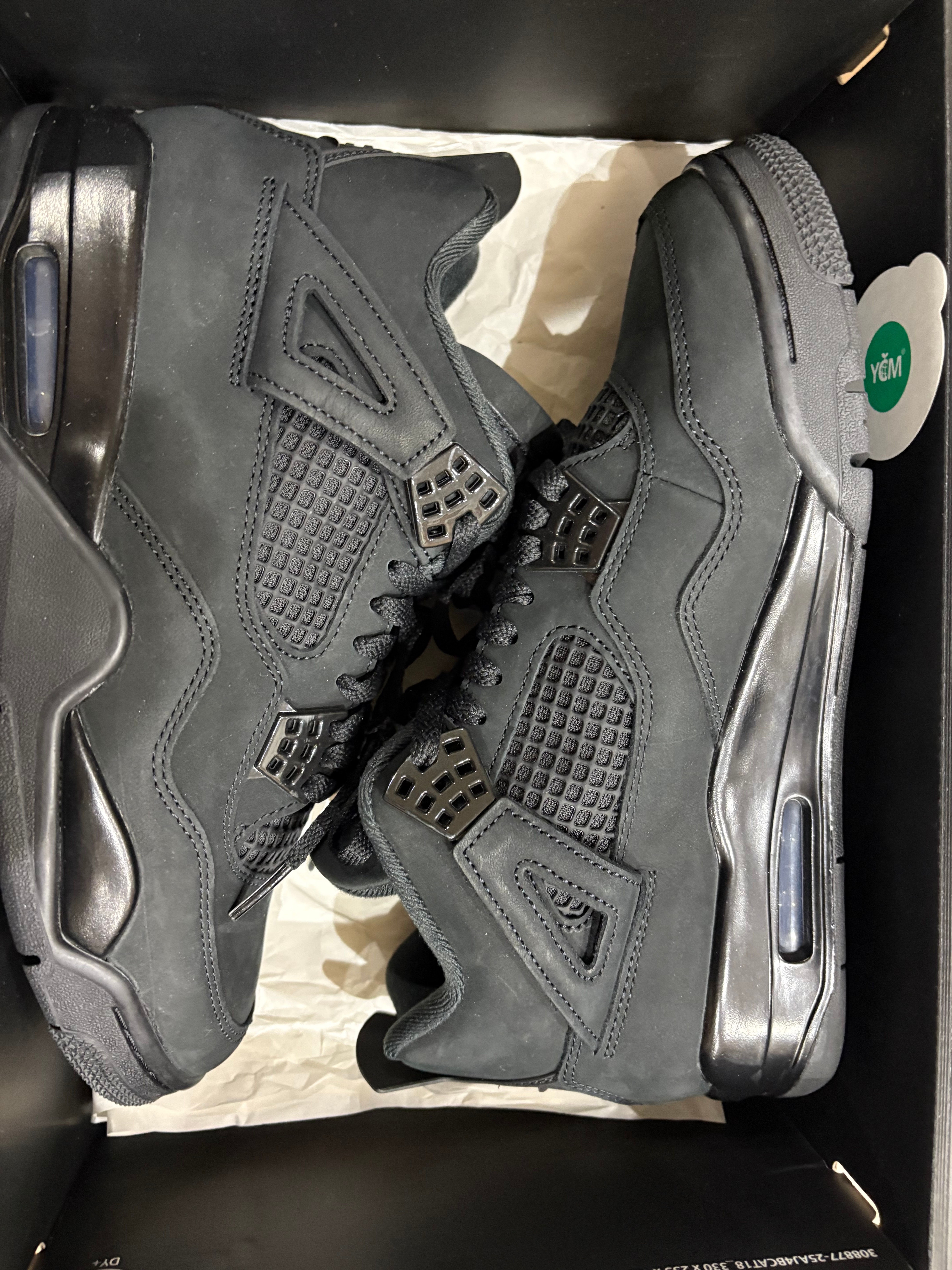 Nike Air Jordan 4 Retro OG "Black Cat" (2025)