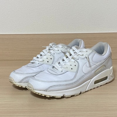 Nike Air Max 90 LTR "White"